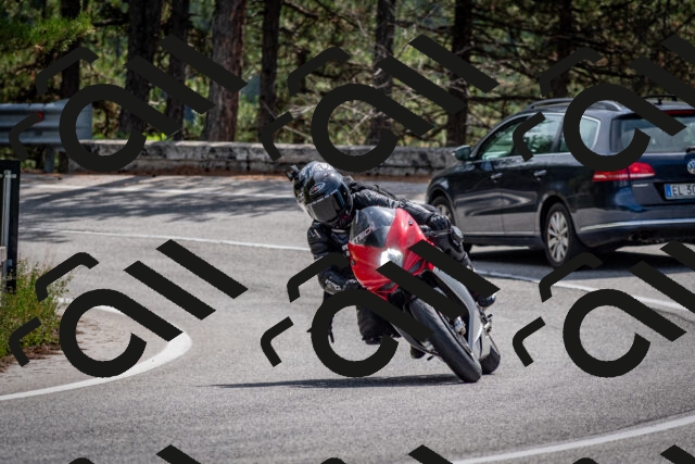 202509071200-DSC_3187_c2