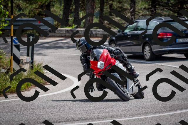 202509071200-DSC_3188_c2