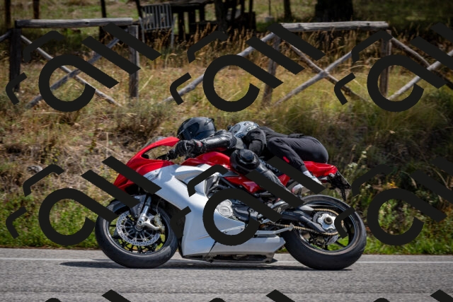 202509071200-DSC_3190_c2