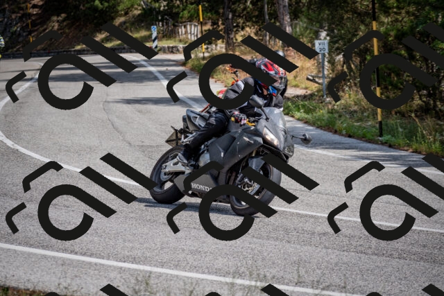 202509071200-DSC_3198_c2