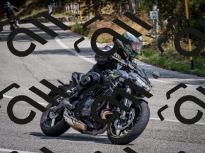 202509071200-DSC_3200_c2