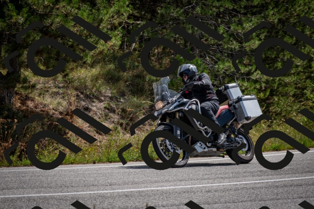 202509071202-DSC_3209_c2