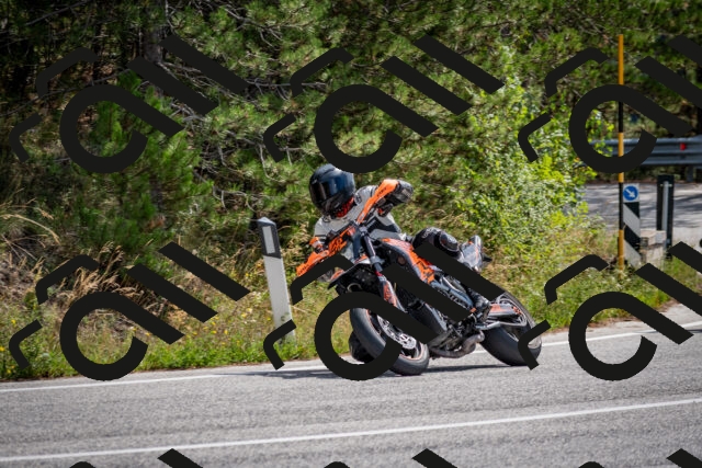 202509071203-DSC_3216_c2