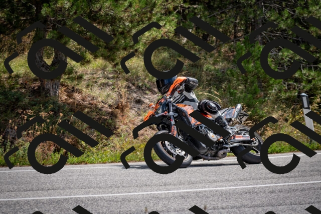 202509071203-DSC_3217_c2