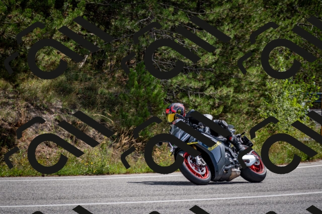 202509071203-DSC_3228_c2