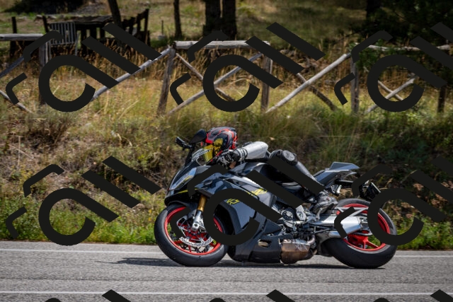 202509071203-DSC_3229_c2