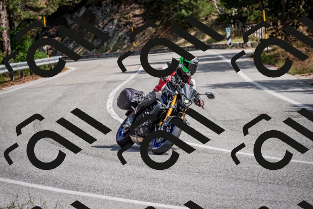 202509071205-DSC_3239_c2