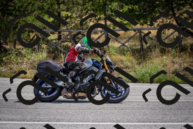 202509071205-DSC_3240_c2