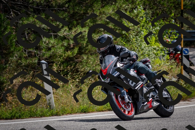 202509071205-DSC_3244_c2