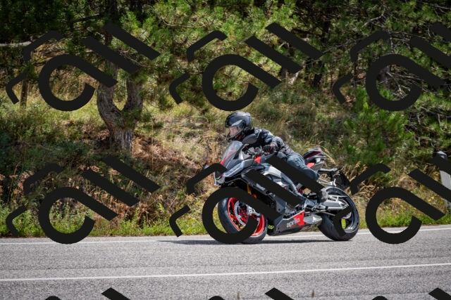 202509071205-DSC_3245_c2