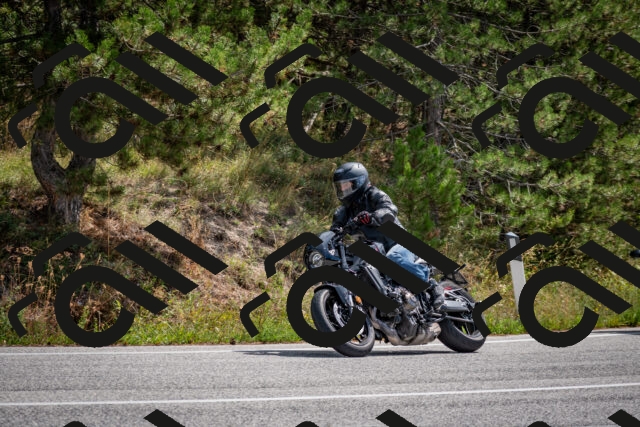 202509071205-DSC_3246_c2