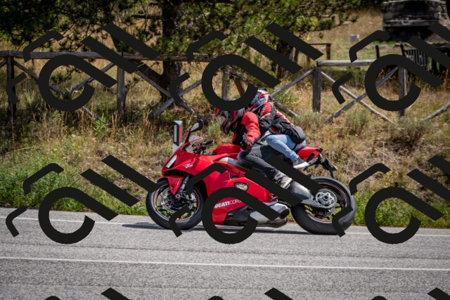 202509071206-DSC_3252_c2