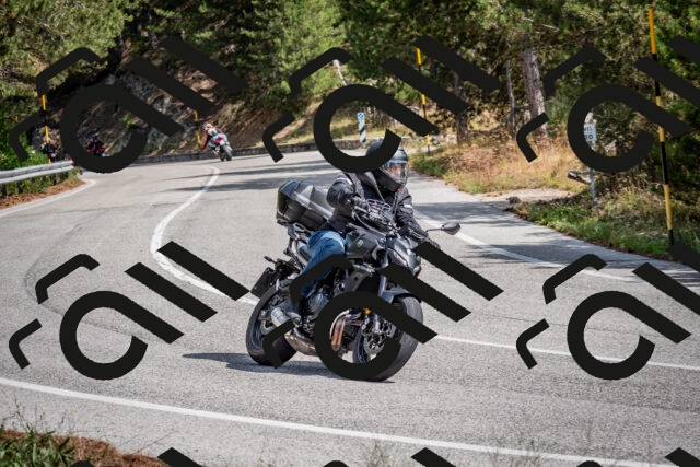 202509071206-DSC_3256_c2