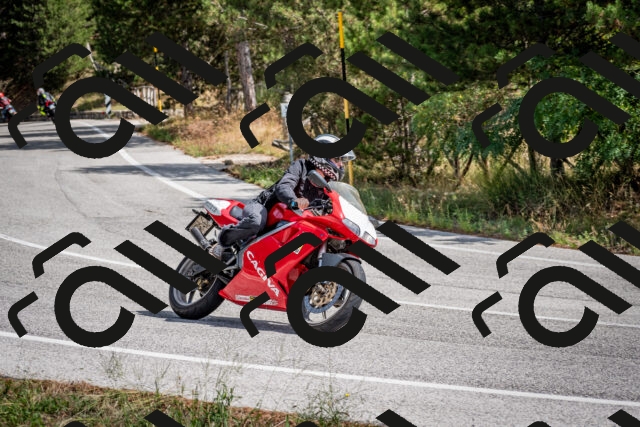 202509071206-DSC_3260_c2