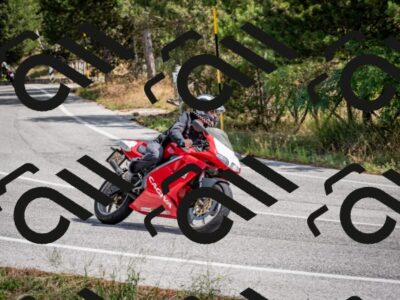 202509071206-DSC_3260_c2