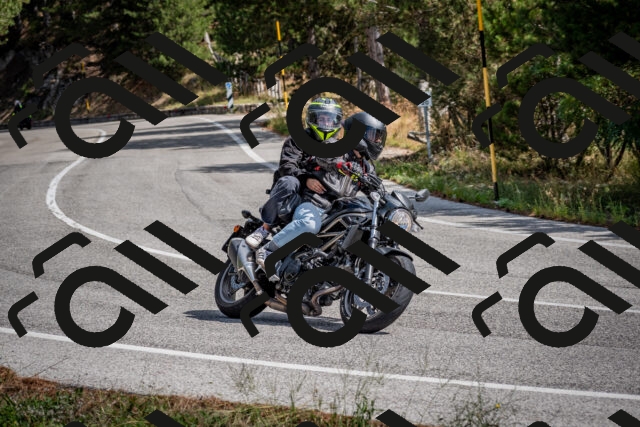 202509071206-DSC_3262_c2