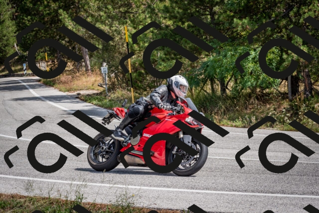 202509071206-DSC_3265_c2