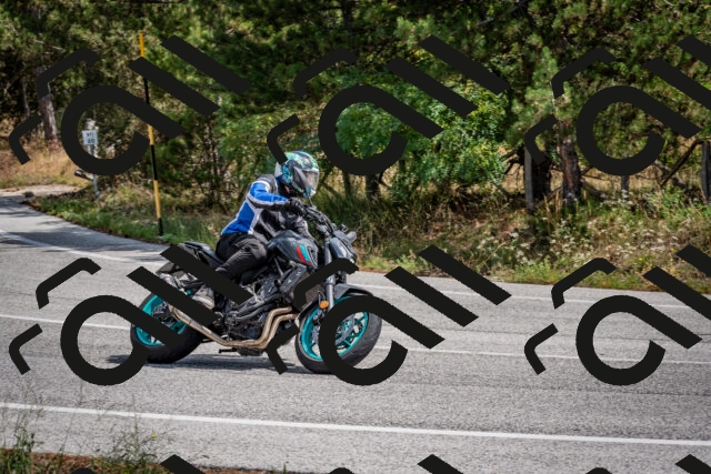 202509071206-DSC_3267_c2