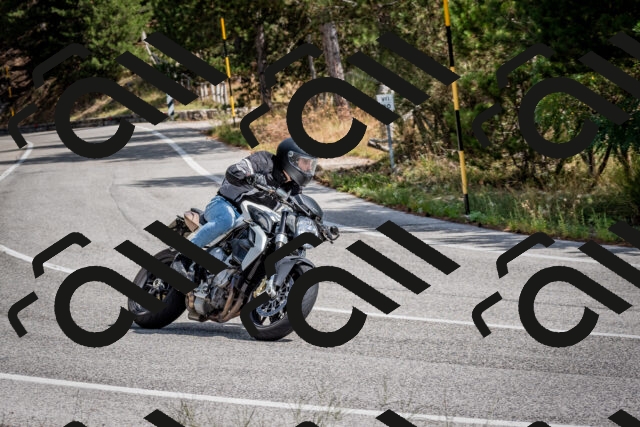 202509071206-DSC_3268_c2