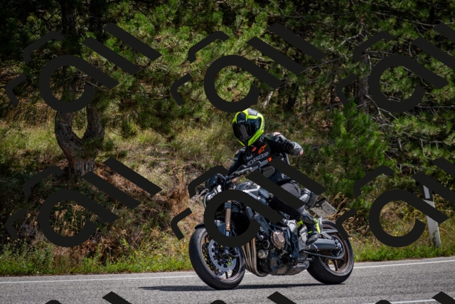 202509071208-DSC_3278_c2