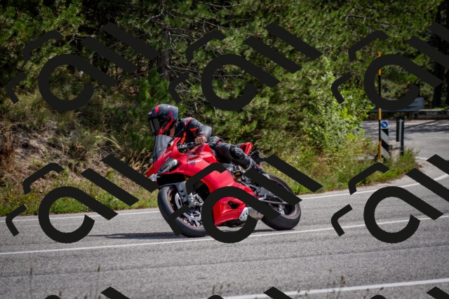 202509071208-DSC_3283_c2