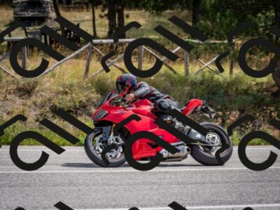 202509071208-DSC_3284_c2