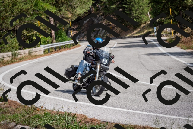 202509071209-DSC_3294_c2