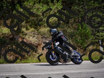 202509071209-DSC_3296_c2