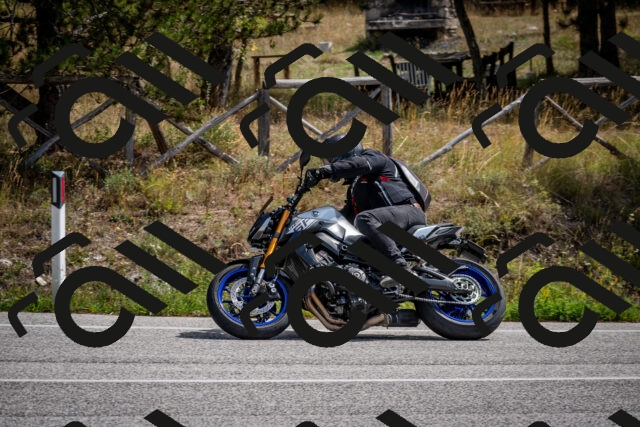 202509071209-DSC_3297_c2