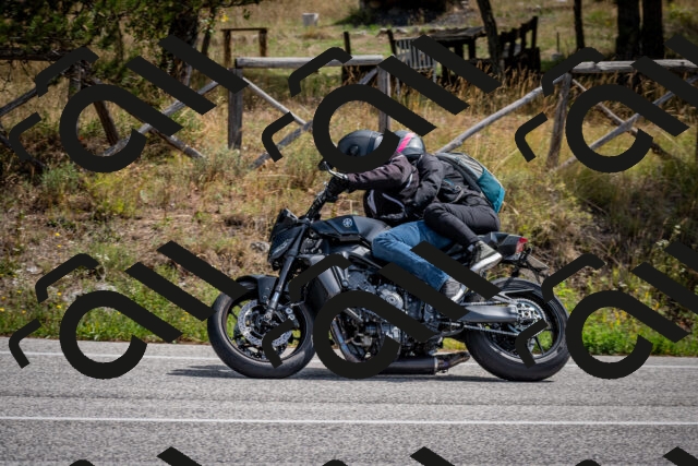 202509071209-DSC_3299_c2