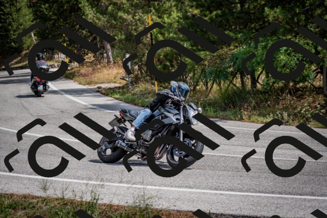 202509071210-DSC_3309_c2