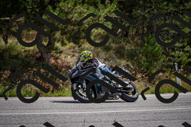 202509071210-DSC_3311_c2