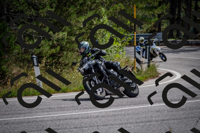 202509071213-DSC_3332_c2