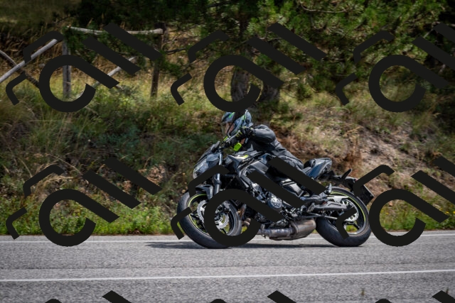 202509071213-DSC_3333_c2