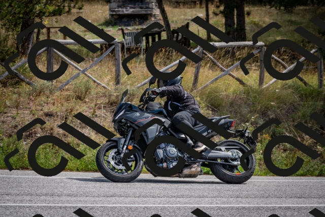 202509071213-DSC_3339_c2