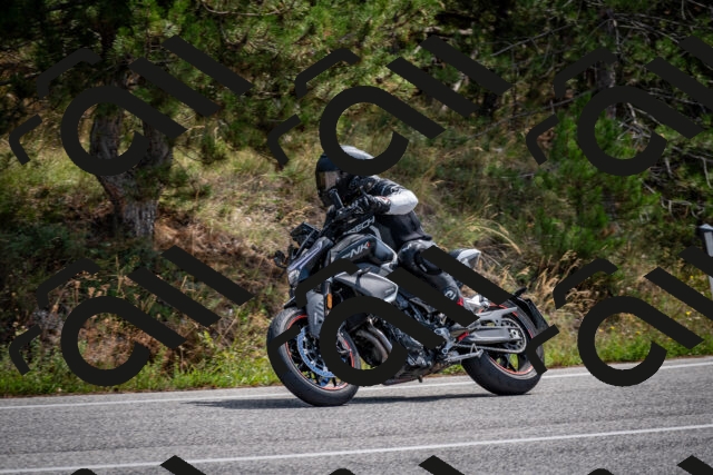 202509071213-DSC_3340_c2