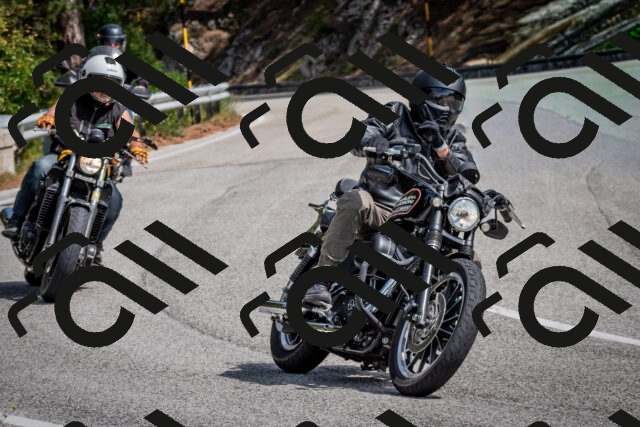 202509071214-DSC_3344_c2