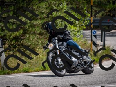 202509071216-DSC_3373_c2