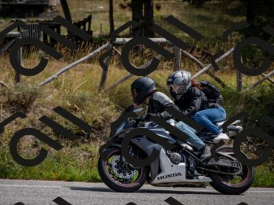 202509071218-DSC_3403_c2