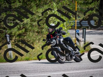 202509071223-DSC_3436_c2