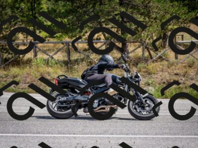 202509071227-DSC_3489_c2