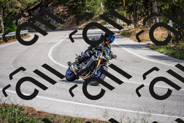 202509071228-DSC_3490_c2