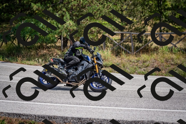 202509071228-DSC_3491_c2