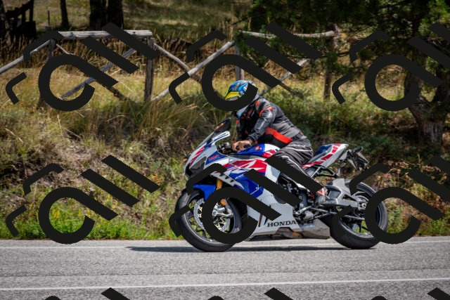 202509071231-DSC_3495_c2