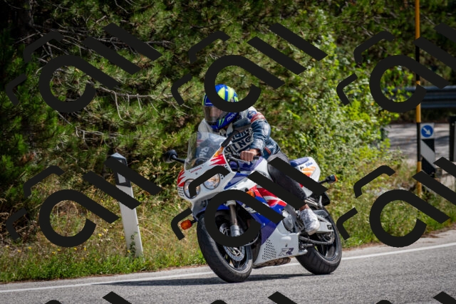 202509071232-DSC_3496_c2