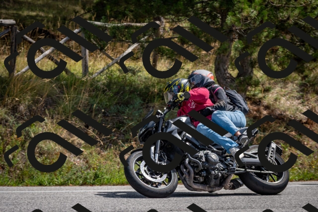 202509071232-DSC_3498_c2