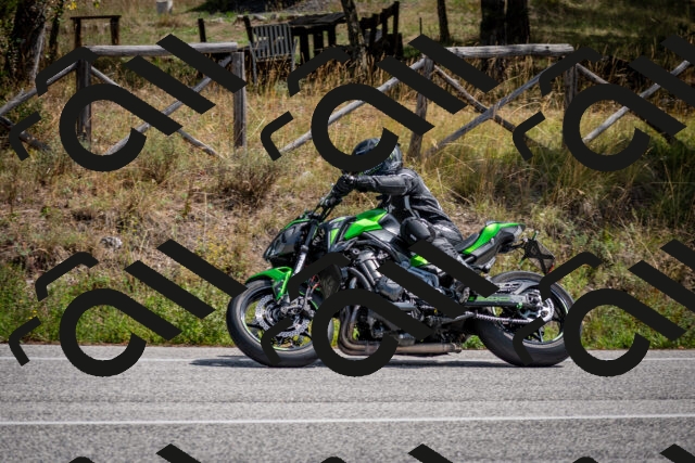 202509071232-DSC_3499_c2