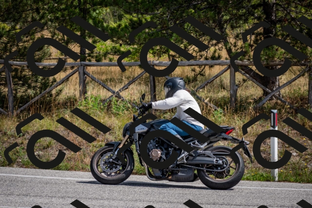 202509071233-DSC_3511_c2