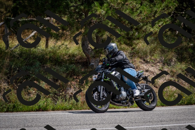 202509071234-DSC_3514_c2