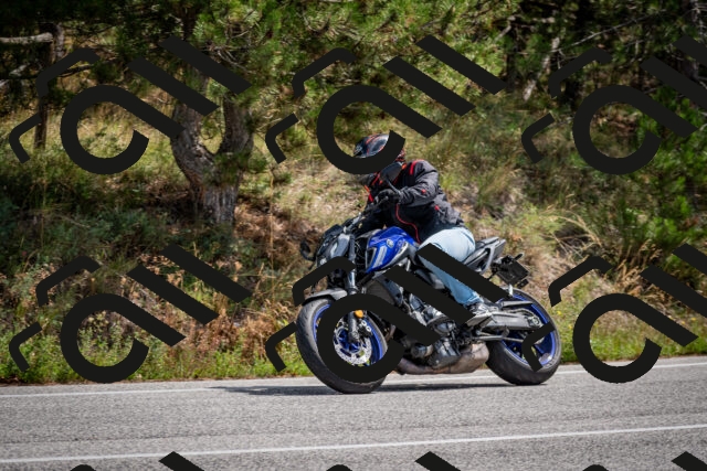 202509071234-DSC_3515_c2